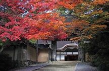 Mt Koya 1 Day Walking Tour from Osaka