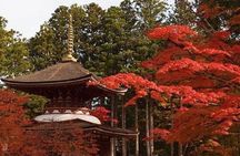 Mt Koya 1 Day Walking Tour from Osaka