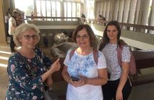 Sakkara step pyramids and Memphis half day tour from Cairo and Giza hotels