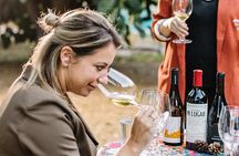 Winederlust Wine Tasting