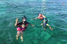 Private Rose Island ,Swimming Pigs, Snorkeling and Turtles