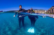Scuba Diving Baptism Experience in Santa Cruz Tenerife