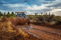 East Zion: Zion Cliffs Sunset Jeep Tour