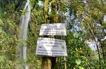 Bogota : Excursion to the highest waterfall in Colombia "La Chorrera"
