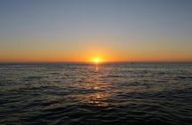 Sunset & Dolphin Tour