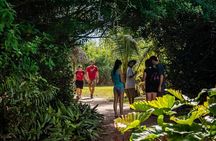 Everglades Airboat, Wildlife Experience and Photo