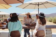 Tasting of 5 wines and tour