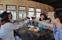 Tasting of 5 wines and tour