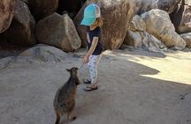 Magnetic Island Afternoon Tour