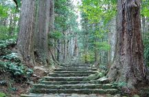 Kumano Kodo Half Day Daimonzaka and Nachi Taisha Tour