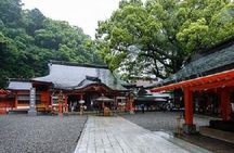 Kumano Kodo Half Day Daimonzaka and Nachi Taisha Tour