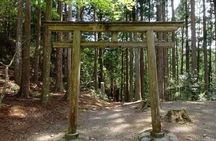 Kumanokodo 2 Day Walking Tour from Osaka