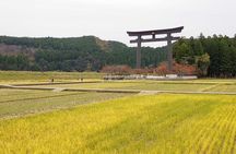 Kumanokodo 2 Day Walking Tour from Osaka