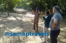 3-Hour Osun Osogbo Sacred Grove Tour From Lagos