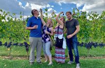 Chianti Wine Tour in Tuscany from Florence