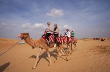 Desert Safari with Camel Ride, BBQ Dinner, Sand Board & Live Show