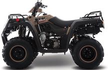 Tulum Area Experiences Guided ATV Tour to 3 Cenote's, Snorkel/Swim & Local Lunch