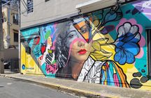 Old and New San Juan History City and Street Art Tour