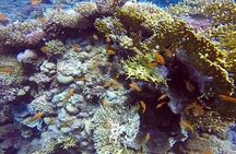 Full-Day Scuba Diving Tour in Hurghada with Lunch & Pick-Up