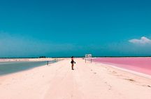 Pink Lake Las Coloradas + Rio Lagartos Reserve! Transportation from Cancun
