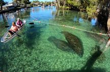 Clear Kayak Manatee Ecotour of Crystal River