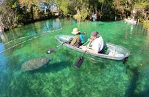 Clear Kayak Manatee Ecotour of Crystal River