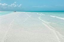 Holbox Tour - Island & Cenote from Cancun and Playa del Carmen 