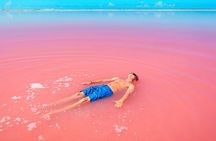 Las Coloradas Pink Lakes & Río Lagartos Wildlife Tour