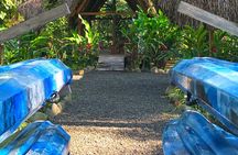 Mangrove Kayak 
