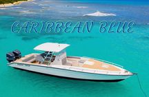 Caribbean Blue Charters - Full Day Boat Charter - 35' Marlin Power Boat