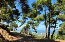 Kos 4x4 Exploration: Views, Villages & Flavors