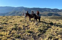 Full Day Horseback Riding
