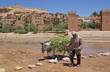 6 days tour from Casablanca to Marrakech via imperiale cities And Sahara Desert