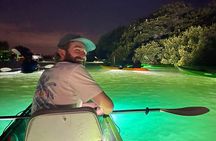 Sharkeys Glass Bottom Fish Feeding LED Night Tour St. Pete Beach