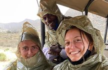 Big 5 Safari, Whale Watching, Robben Island and Table Mountain in 3-Days.