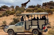 Private Tour: A full day Aquila Safari the big 5 Game Drive