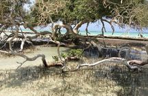 Wadi El Gamal Amazing Day Jeep Safari Full Day With Bedouin dinner - Marsa Alam