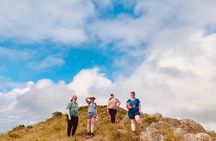 The Pacific Coast: Trails & Shores Private Tour