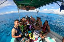 Amazing Snorkel at Cozumel Gorgeous Reef! Round Transportation from Tulum City
