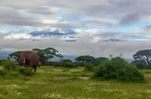 2 Days Amboseli Safari