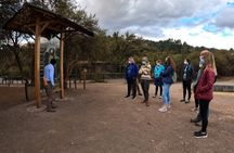 Sacred Valley & Machu Picchu 2D1N 