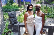 Private VIP Frida Kahlo Art Tour With An Expert In Art 