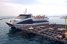 Rias Baixas Tour with Winery and Boat (optional)