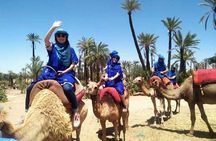 Camel Ride in the Palm Grove of Marrakech