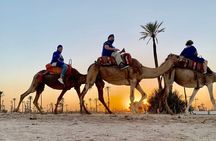 Camel Ride in the Palm Grove of Marrakech