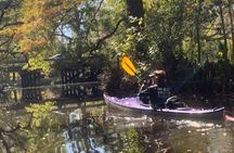 Kayak Tour Of The Honey Island Swamp and Backwaters