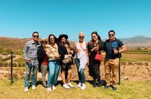 Valle de Guadalupe private tour, in a group is better! (since 10 to 19 persons).