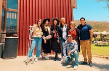Valle de Guadalupe private tour, in a group is better! (since 10 to 19 persons).