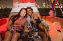 Sunset Tour Up To 10 People 