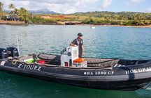 Kauai's Ultimate South Side Whale & Dolphin Zodiac Boat Adventure